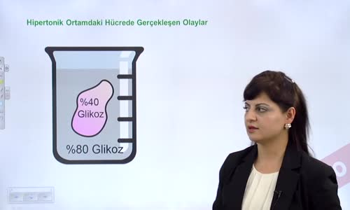 EBA BİYOLOJİ LİSE - CANLILARIN TEMEL BİRİMİ HÜCRE - HÜCRE ZARINDA MADDE ALIŞVERİŞİ  PLAZMOLİZ, DEPLAZMOLİZ, TURGOR, HEMOLİZ  - HİPERTONİK VE İZOTONİK ORTAMDA HÜCRE