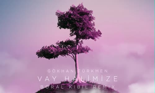 Vay Halimize Boral Kibil Remix Gökhan Türkmen