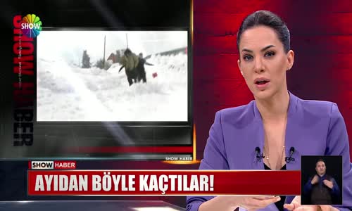 Ayıdan Böyle Kaçtılar