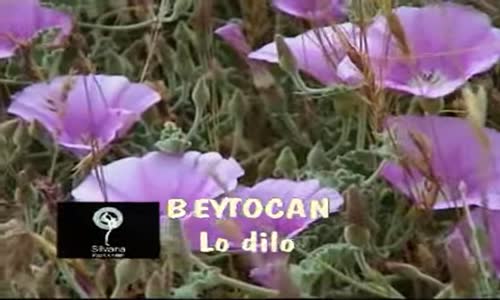 Beytocan - Lo Dilo