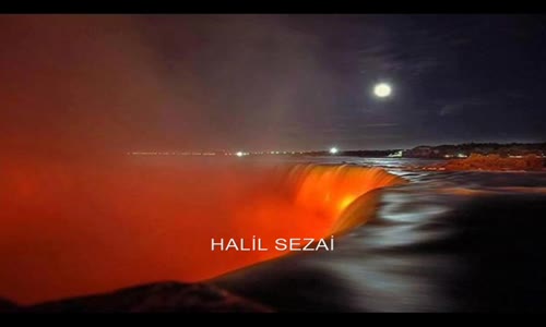 Halil Sezai - İki Keklik