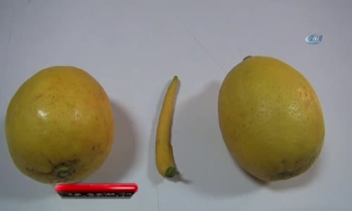 Biber Görünümlü Limon