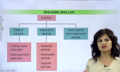 EBA BİYOLOJİ LİSE - EKOLOJİ VE GÜNCEL ÇEVRE SORUNLARI - CANLILARDA BESLENME ŞEKİLLERİ , HETEROTROF BESLENME - HOLOZOİK BESLENME OTÇULLAR