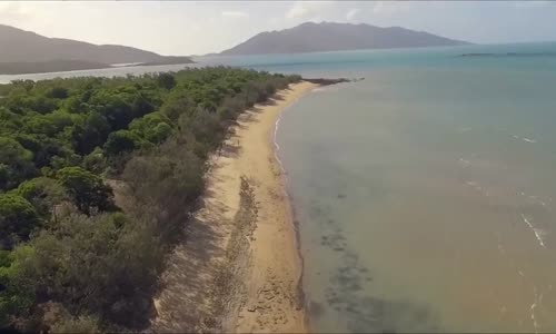 Avustralya'ya Gitmemek İçin Nedenler