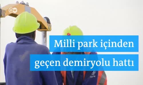 Milli park içinden geçen demiryolu hattı