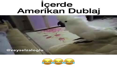 İçerde - Amerikan Dublaj