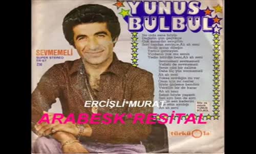 Yunus Bülbül - Gibisin