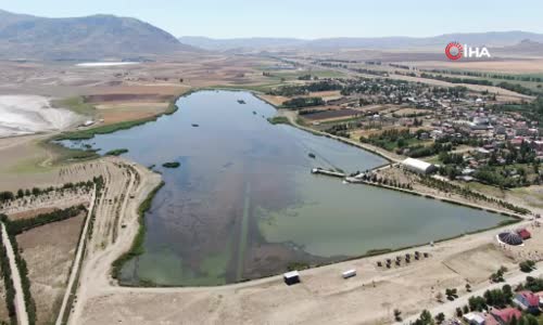 Sivas’ta toplu balık ölümleri tedirgin ediyor