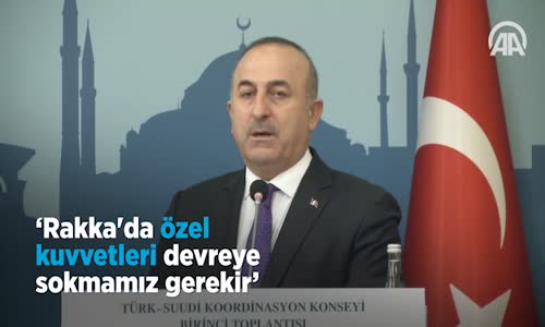 Rakka'da Özel Kuvvetleri Devreye Sokmamız Gerekir 