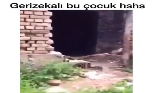 Yıkık Binadan Çıkan O Şey 