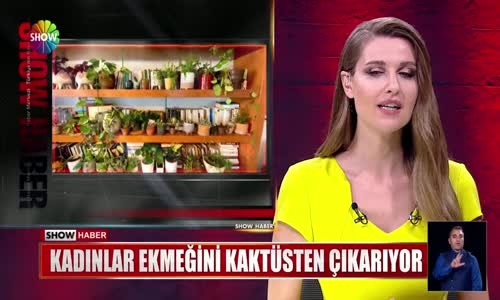 Kadınlar ekmeğini kaktüsten çıkarıyor