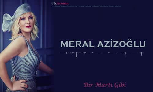 Meral Azizoğlu - Bir Martı Gibi