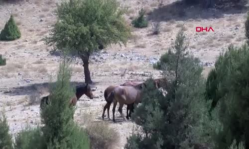 Yatağa bağımlı kadın, şifa bulduğu mahallenin 3 dönemdir muhtarı