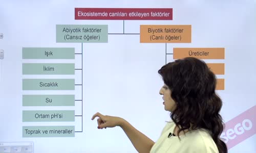 EBA BİYOLOJİ LİSE - EKOLOJİ VE GÜNCEL ÇEVRE SORUNLARI - EKOSİSTEMDE CANLILARI ETKİLEYEN ABİYOTİK FAKTÖRLER - SU, ORTAM , pH'Sİ, TOPRAK VE MİNERALLER