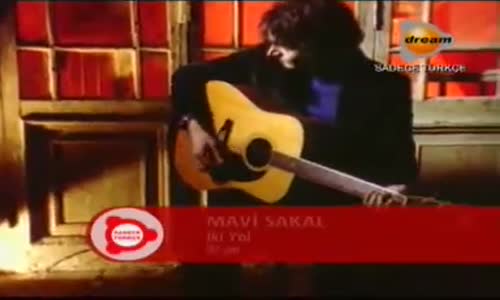 Mavi Sakal İki Yol 