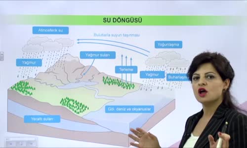 EBA BİYOLOJİ LİSE - EKOLOJİ VE GÜNCEL ÇEVRE SORUNLARI - EKOSİSTEMDE MADDE DÖNGÜLERİ - SU DÖNGÜSÜ