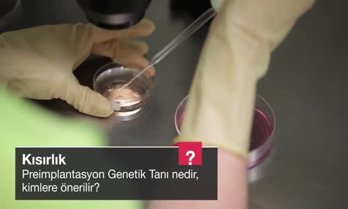 Preimplantasyon Genetik Tanı Nedir Kimlere Önerilir