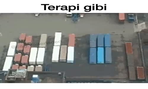 Terapi Gibi