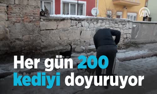 Her Gün 200 Kediyi Doyuran Öğrenci