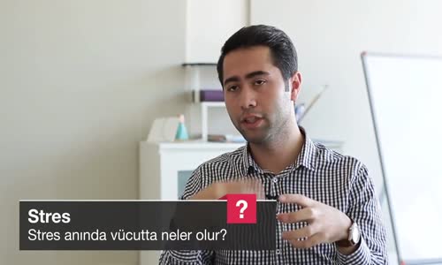 Stres Anında Vücutta Neler Olur