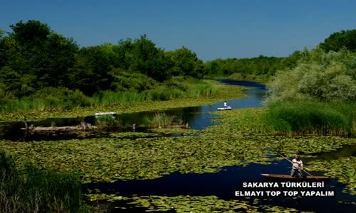 Sakarya Türküleri - Elmayı Top Top Yapalım