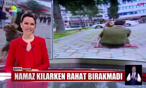 Namaz kılarken rahat bırakmadı