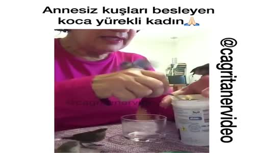 Annesiz Kuşları Besleyen Koca Yürekli Kadın