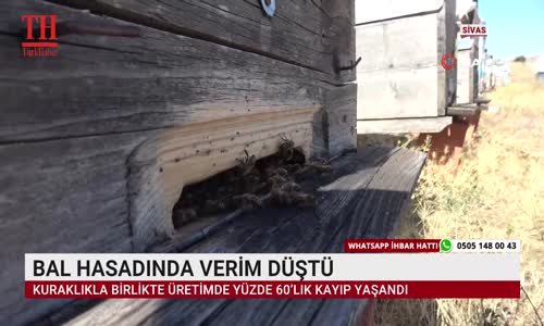 BAL HASADINDA VERİM DÜŞTÜ