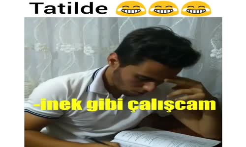 Tatide Çalışanlar Ve Çalışmayanlar