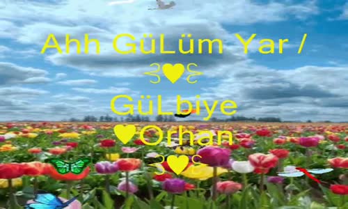 Tolga Özkan GüLüm Yar⊰❀⊱GüLbiye♥Orhan⊰❀⊱