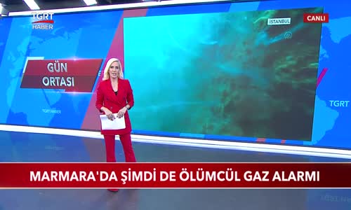 Marmara Denizi Şimdi De Ölümcül Gaza Teslim Oldu