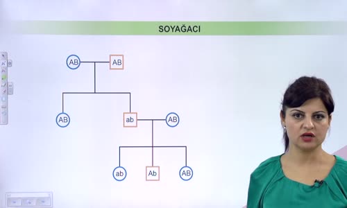 EBA BİYOLOJİ LİSE - KALITIMIN GENEL İLKELERİ - DİHİBRİT ÇAPRAZLAMA - ÇAPRAZLAMALARDA SOYAĞACI PROBLEMLERİ