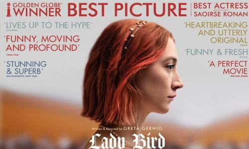 Uğur Böceği - Lady Bird Türkçe Dublaj İzle