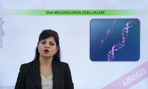 EBA BİYOLOJİ LİSE - NÜKLEİK ASİTLERİN KEŞFİ VE ÖNEMİ - DNA VE RNA - DNA