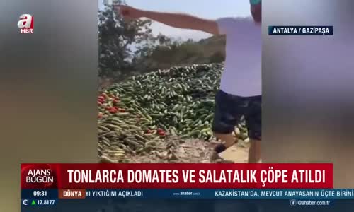 Skandal görüntüler! Tonlarca domates ve salatalık çöpe atıldı