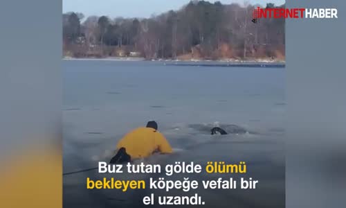 Donmuş Göle Düşen Köpeği Kurtaran Güzel İnsanlar 