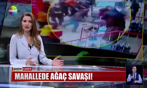 Mahallede ağaç savaşı! 