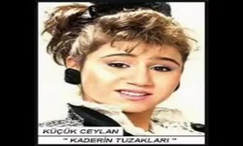 Ceylan - Sen Sevmeyi̇ Bi̇lmi̇yorsun