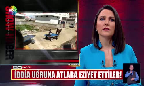 İddia uğruna atlara eziyet ettiler!