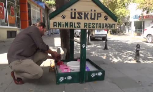 Sokak Hayvanları İçin Mini Restoran Oluşturdu