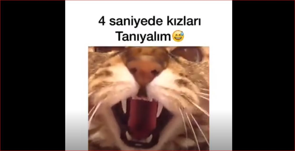 4 Saniyede Kızları Tanıyalım