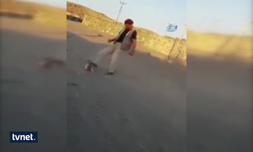 Yavru Köpeğe Eziyet Eden Vicdansız Sosyal Medyayı Ayağa Kaldırdı!