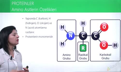 EBA BİYOLOJİ LİSE - CANLILARIN YAPISINDA BULUNAN TEMEL BİLEŞİKLER - PROTEİNLER - AMİNO ASİTLERİN ÖZELLİKLERİ