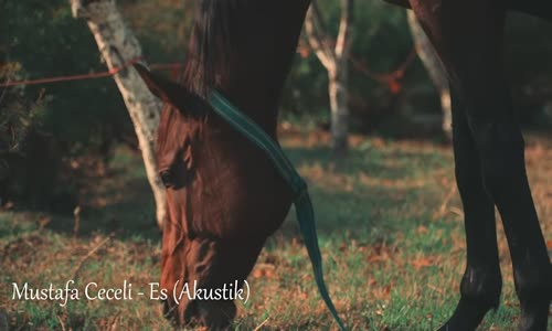 Es (Lyric Video) - Mustafa Ceceli 