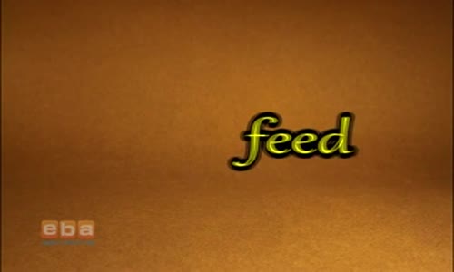 Feed izle - Video - Eğitim Bilişim Ağı