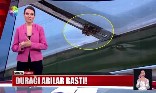 Durağı arılar bastı!