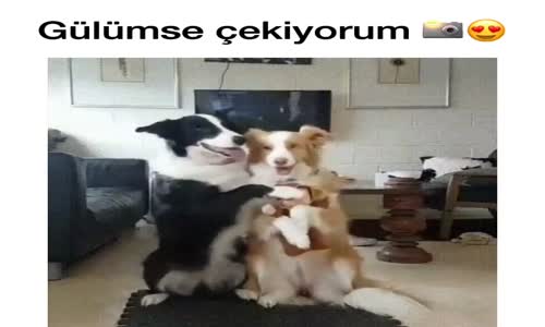 Gülümse Çekiyorum