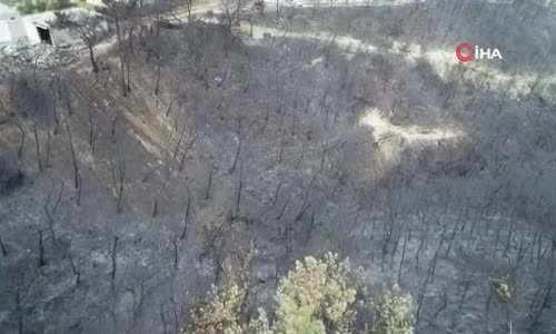 Yangın mağdurları PKK'ya lanet okudu 