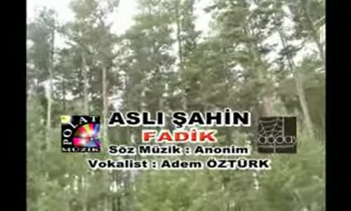 Aslı Şahin  Fadik  Uzun Hava 