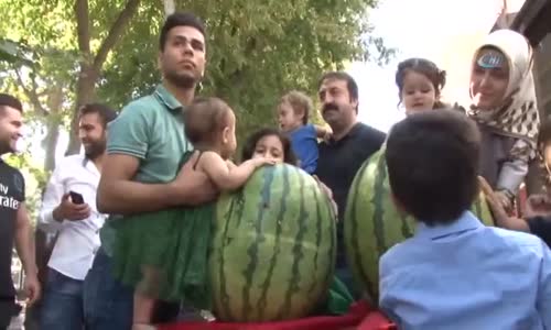 Dev Karpuzları Oydular İçine Bebek Koydular